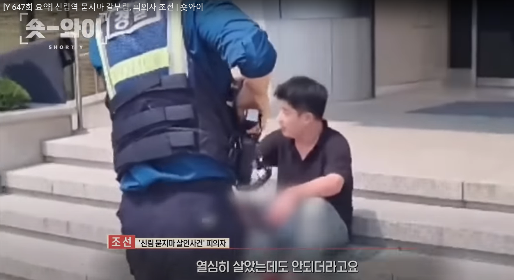 서현역 칼부림, 신림동 묻지마 살인