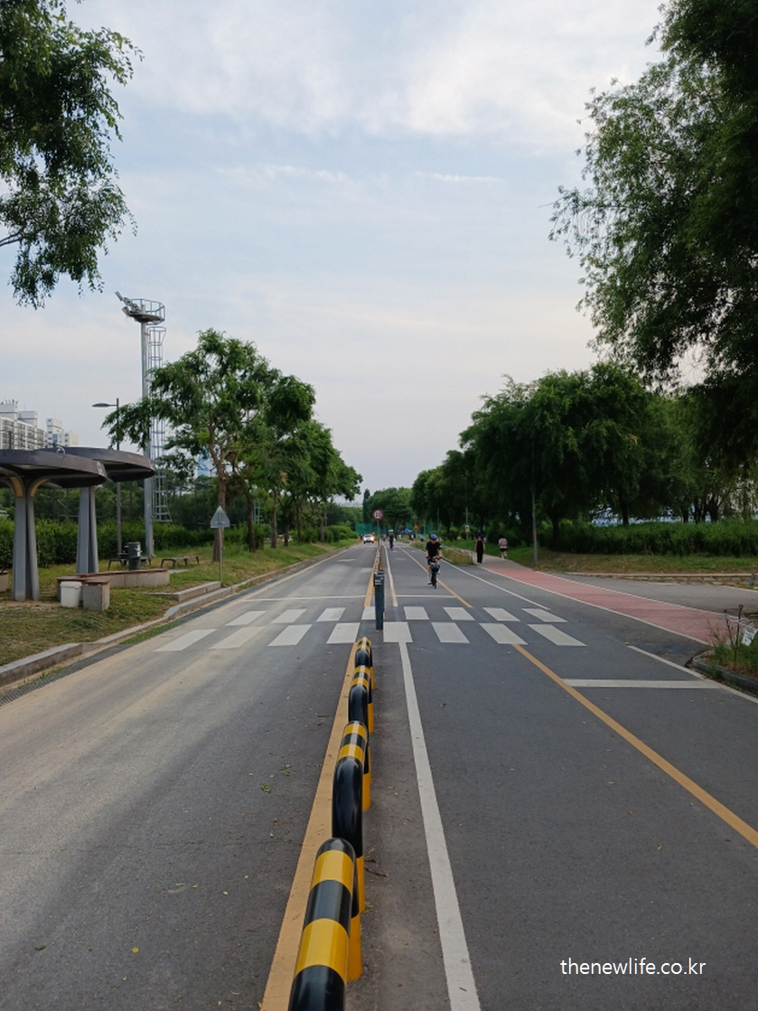 A wide bicycle path with a crosswalk on a hot summer afternoon, emphasizing awareness of heatstroke and the critical difference between heatstroke and heat exhaustion./자전거 횡단보도가 있는 넓은 도로, 여름철 열사병과 일사병의 차이에 대한 주의를 환기시키는 장면