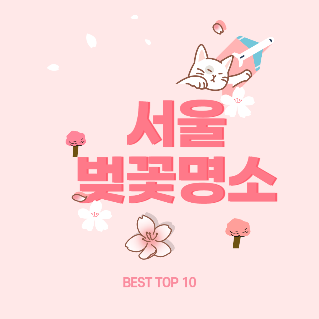 서울 벚꽃 명소 베스트10 벚꽃여행 꿀팁정리
