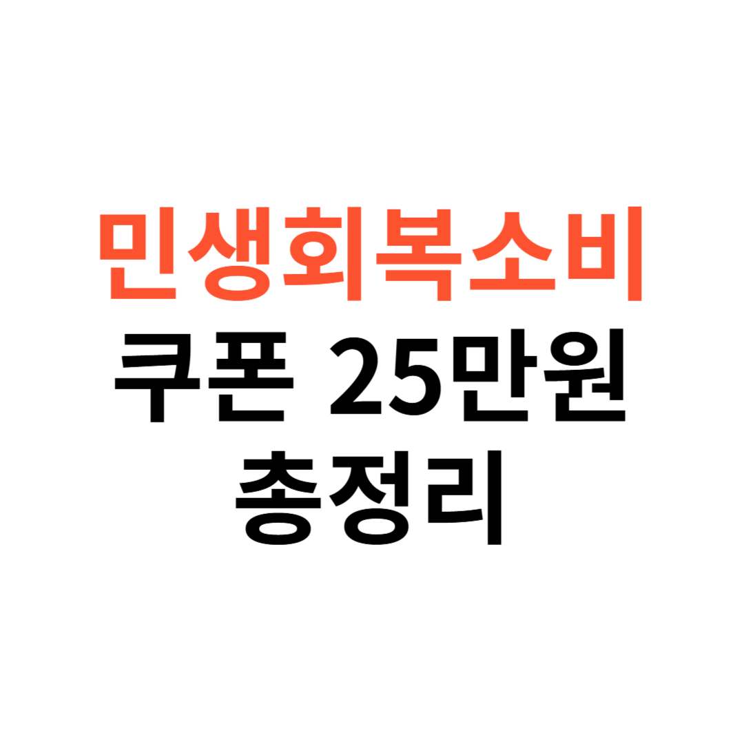 민생회복소비쿠폰 25만원