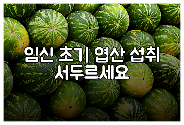 임신 초기 엽산 섭취 서두르세요
