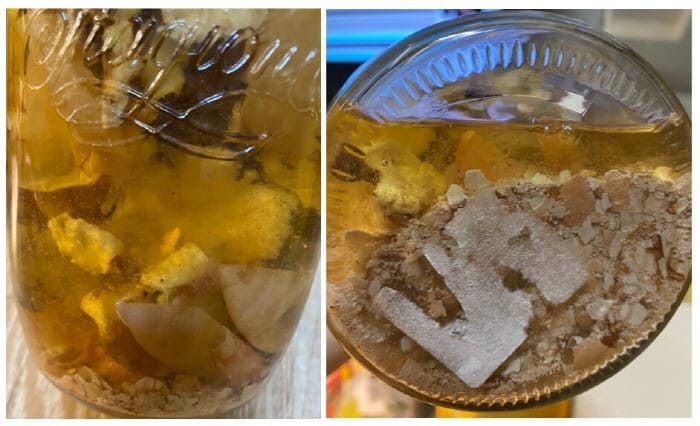 당귀초란만들기-당귀초란8일차