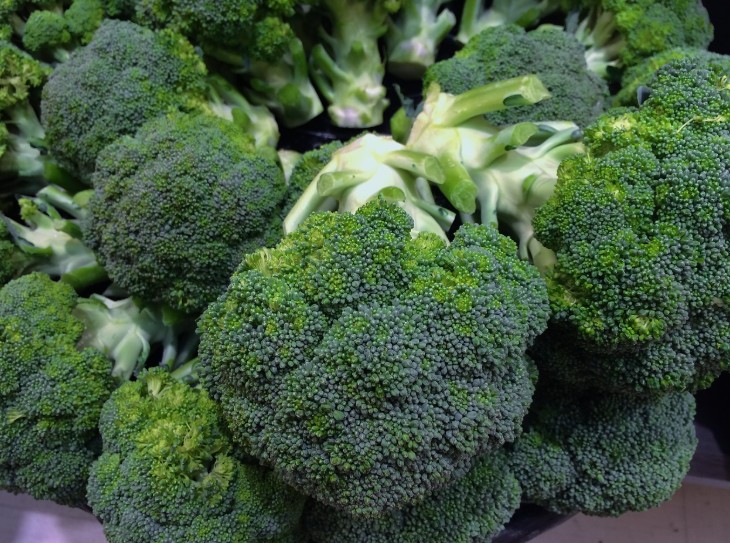 브로콜리 효능|종류|제철|데치기|브로콜리 보관|씻는법|먹는방법