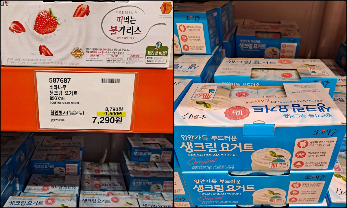 소와나무 요거트