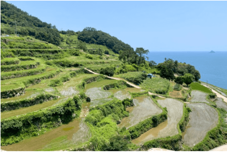 경남-다랭이마을