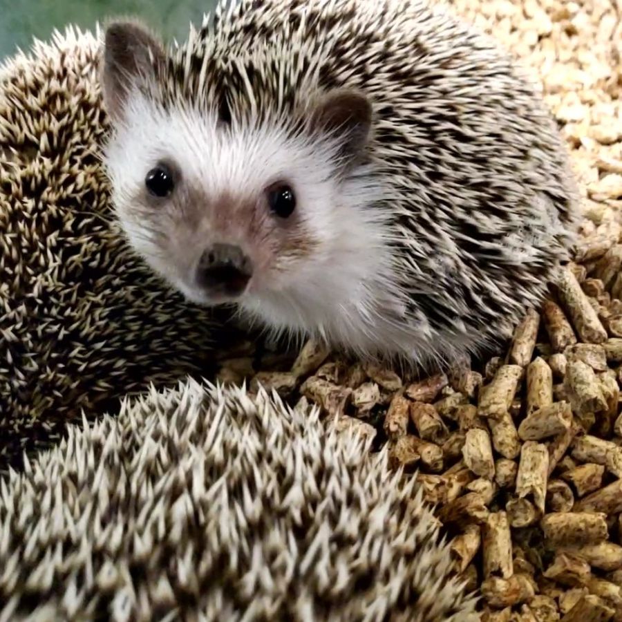 쥬라리움 청라점