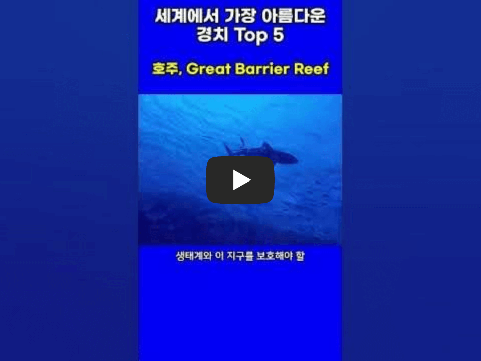 수중 낙원 그레이트 배리어 리프