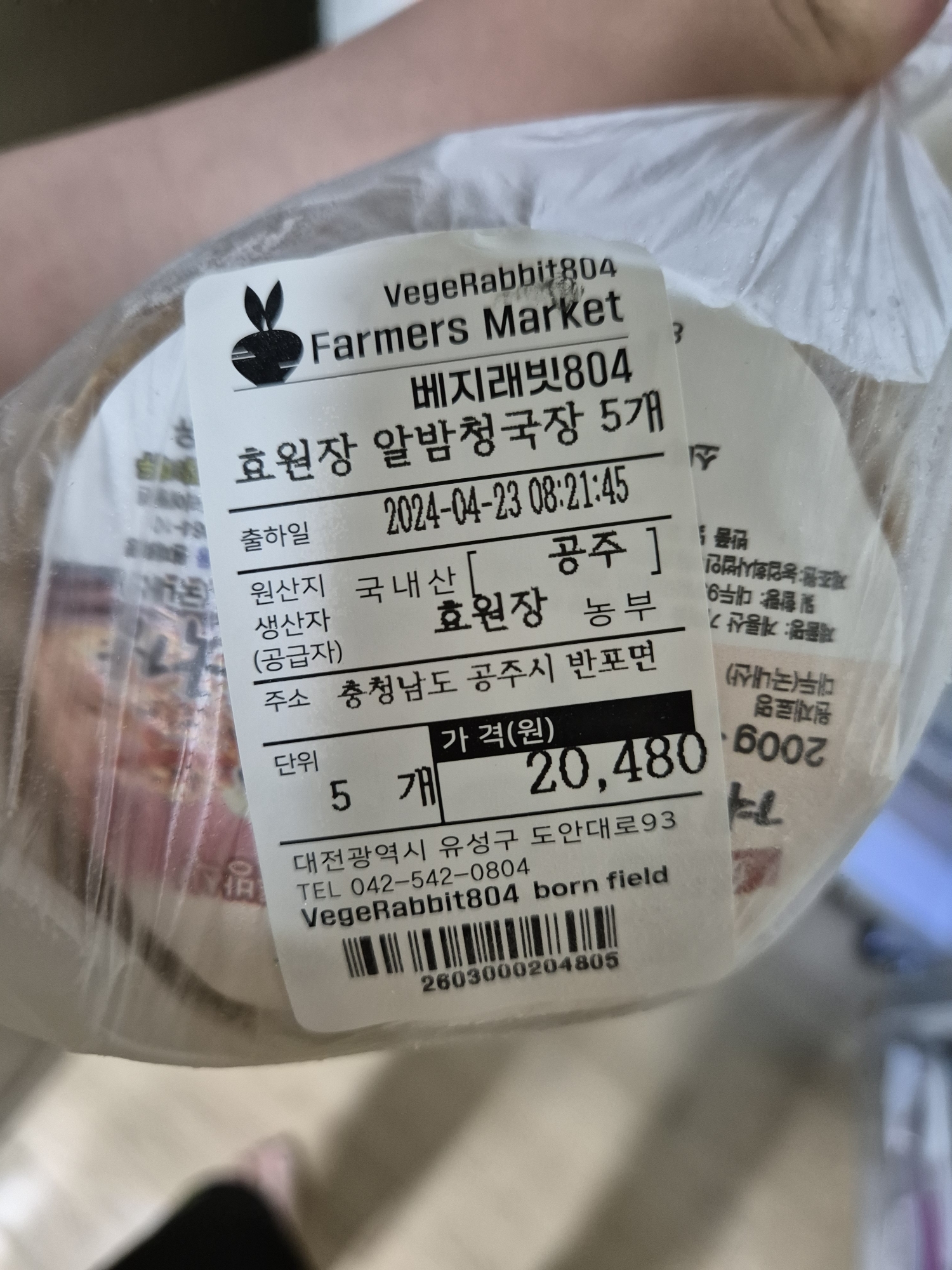 공주 효원장 농부의 알밤청국장