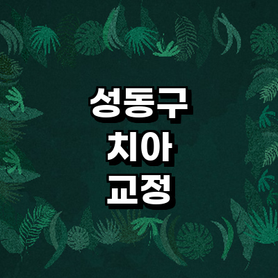서울 성동구 교정 치과