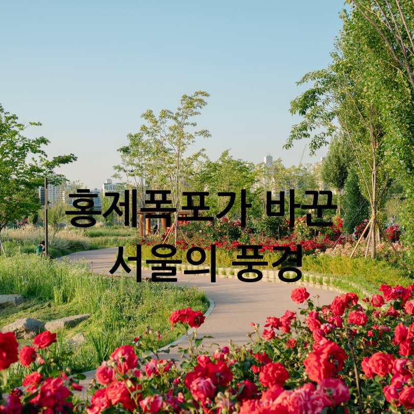 서울형 수변감성도시