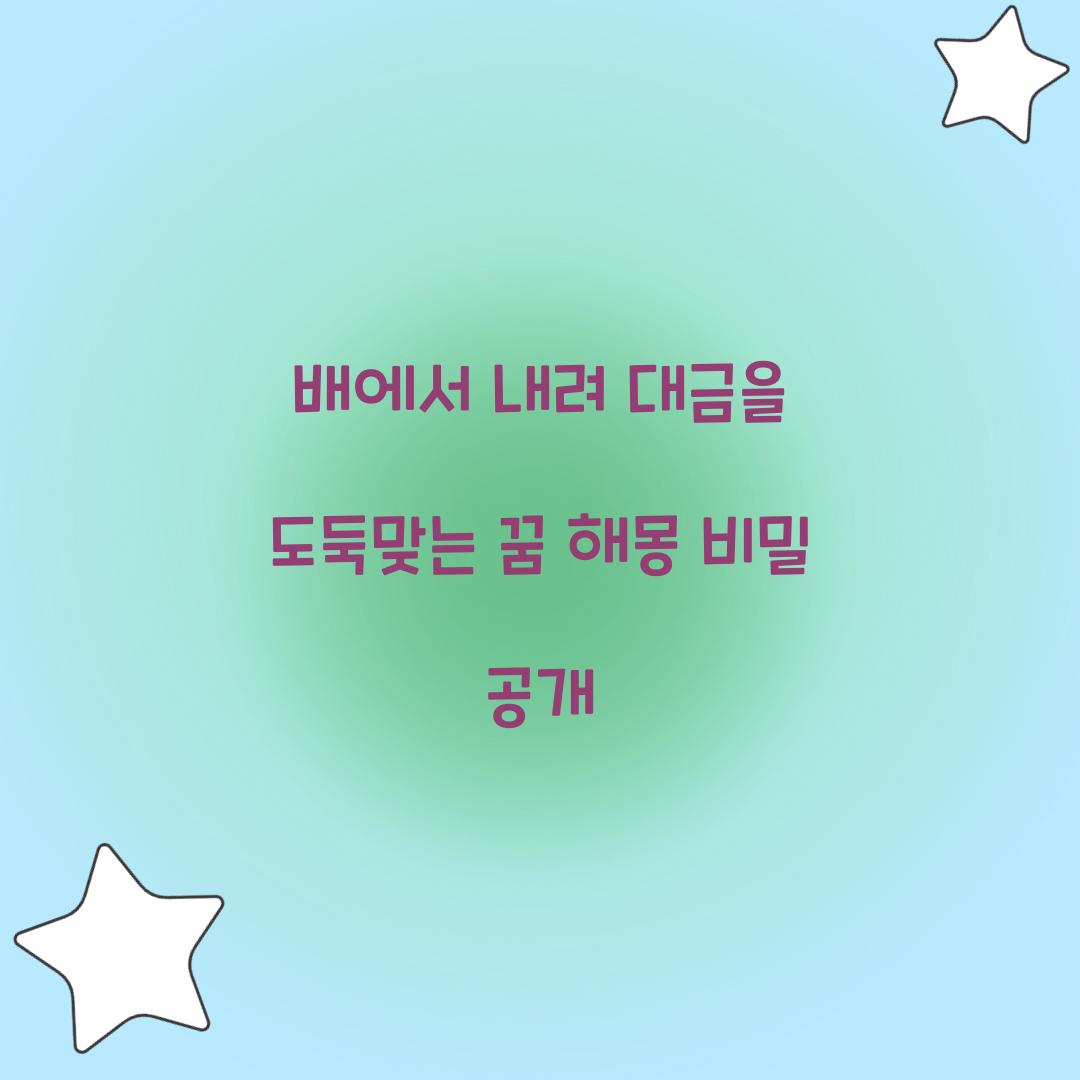 배에서 내려 대금을 도둑맞는 꿈 풀이 해몽 해석