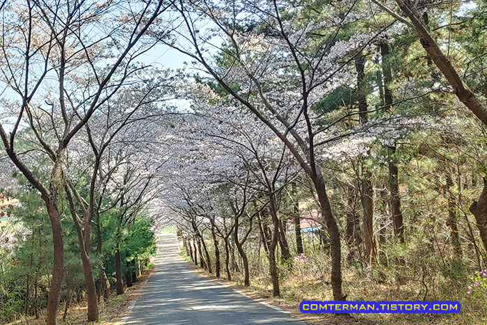 가재산 드라이브길