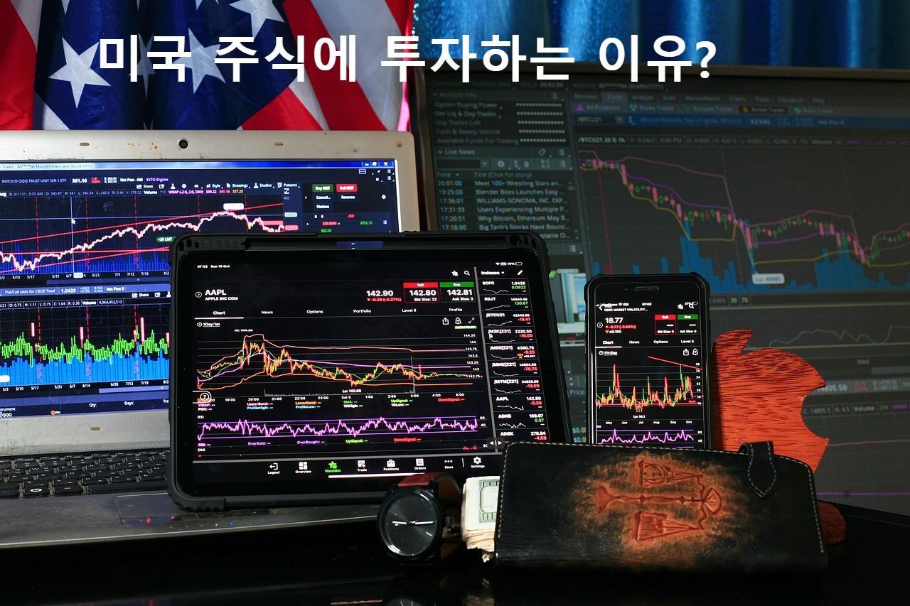 미국 주식시장