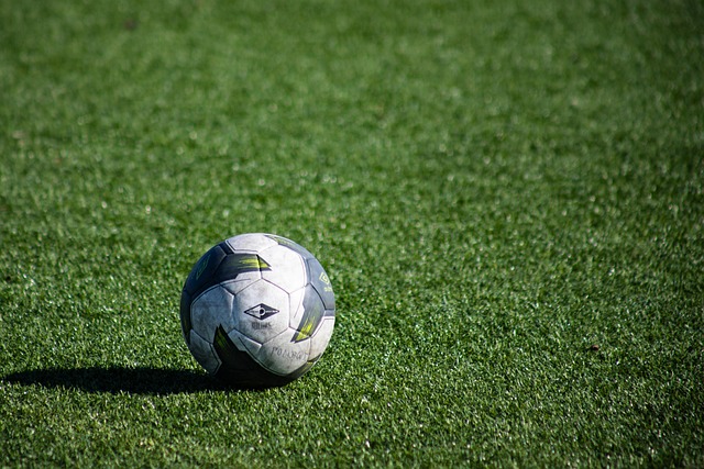 축구경기장에 축구공 사진