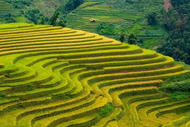 농어촌 기본소득 시범사업 지역 선정