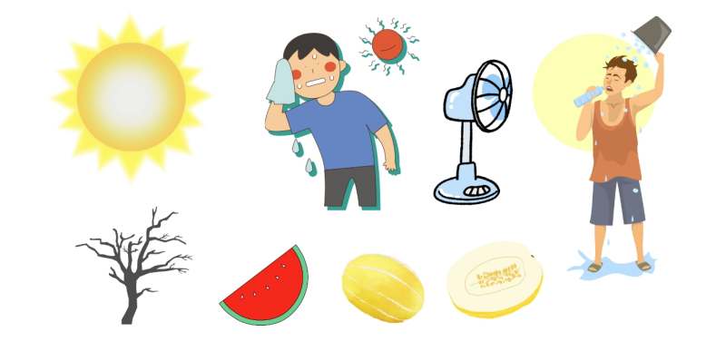 대서 삼복 더위 고사목 태양 선풍기 수박 참외