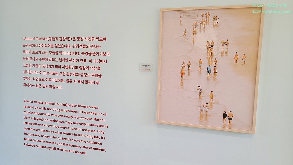 요시고 사진전 - LANDSCAPE