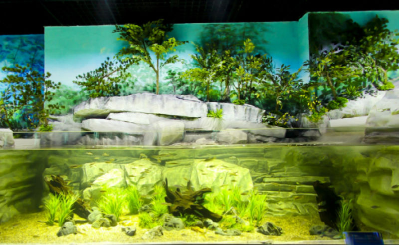 단양 아쿠아리움