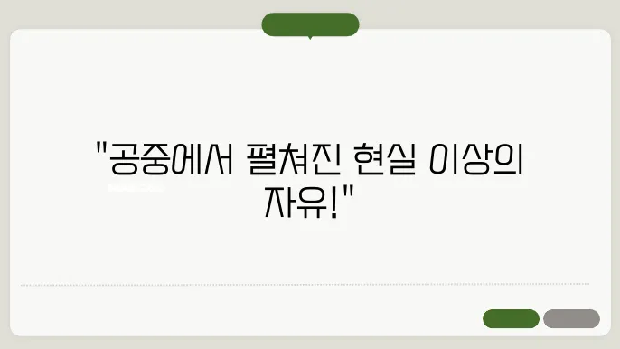 날아다니는 꿈