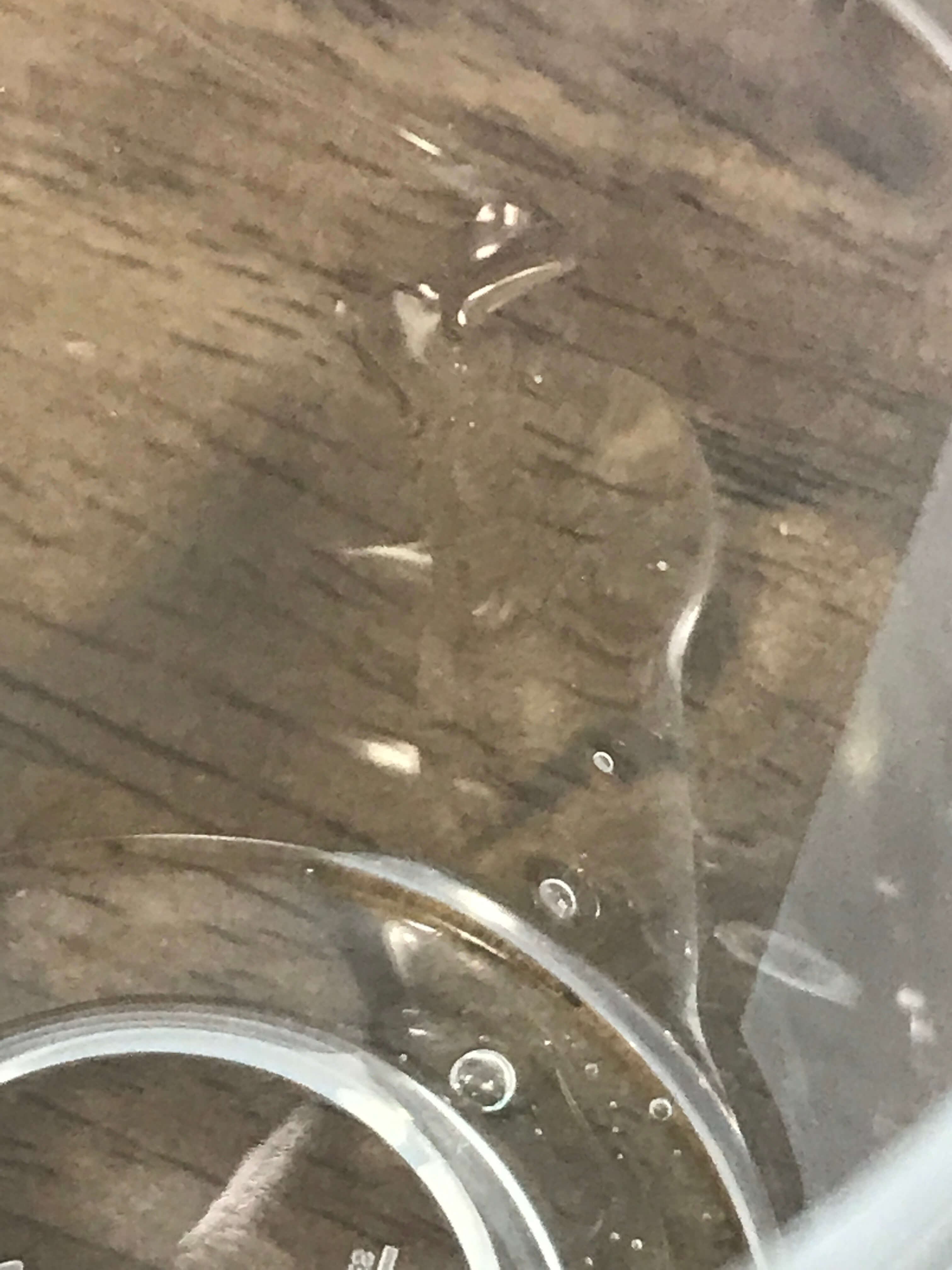 투명한 젤 형태