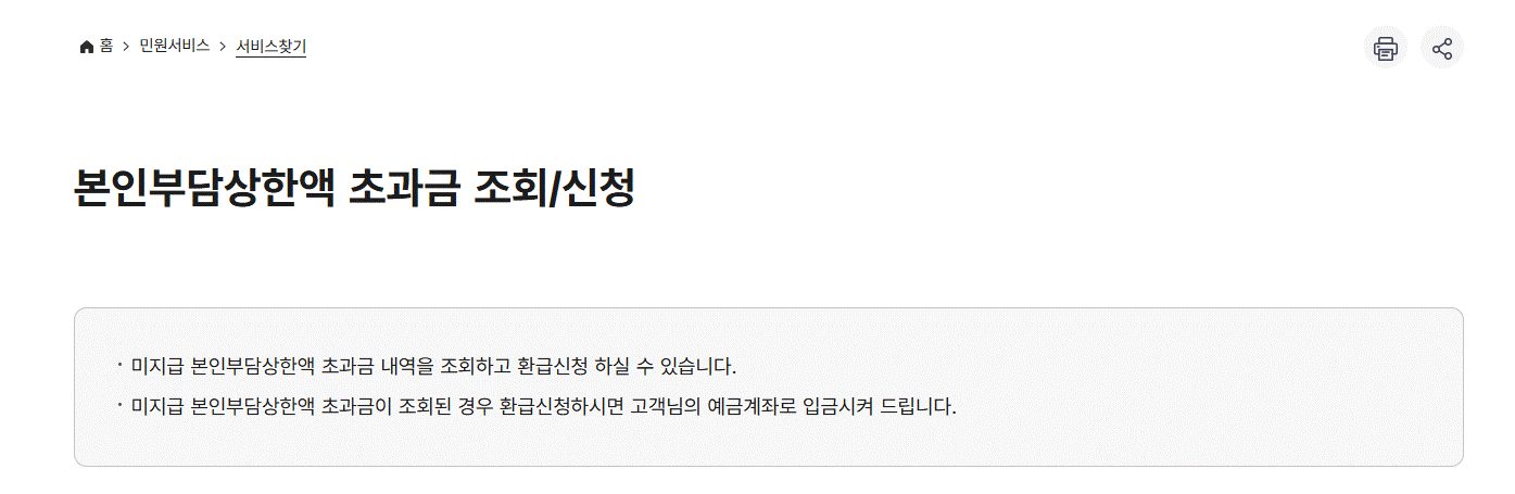 본인부담상한액 초과금