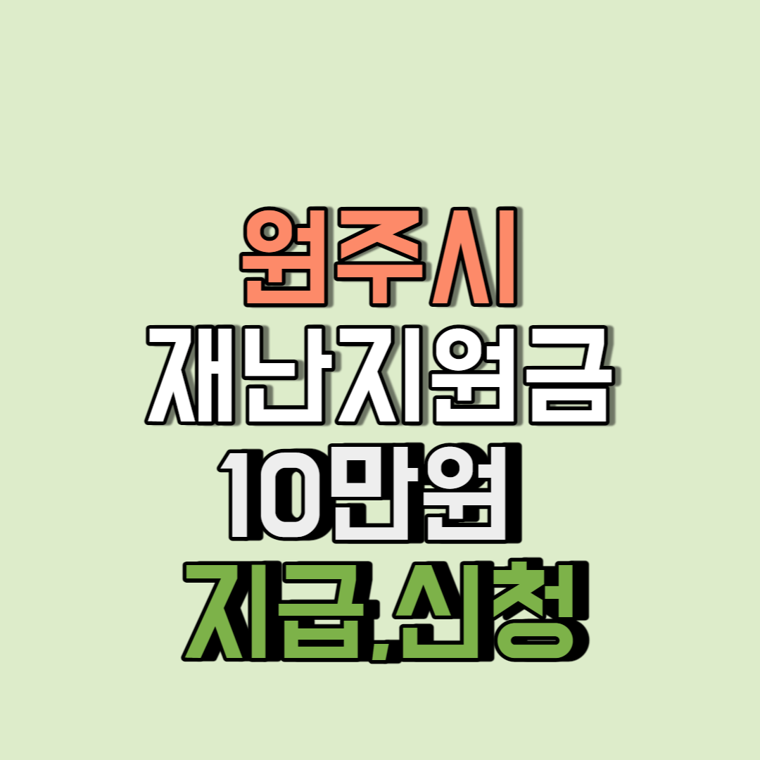원주시재난지원금10만원 지급,신청썸네일