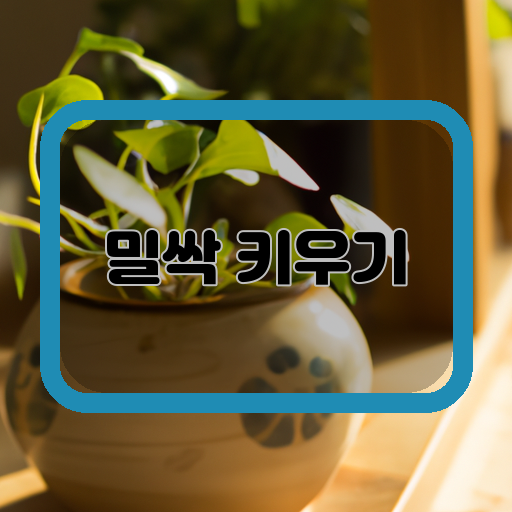씨앗-물주기-자연광
