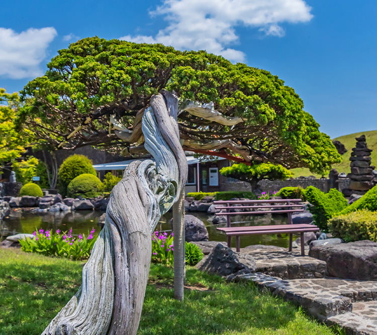 특색있고 아름다운 민간 정원 30선 추천 여행 - 27. 제주 생각하는 정원