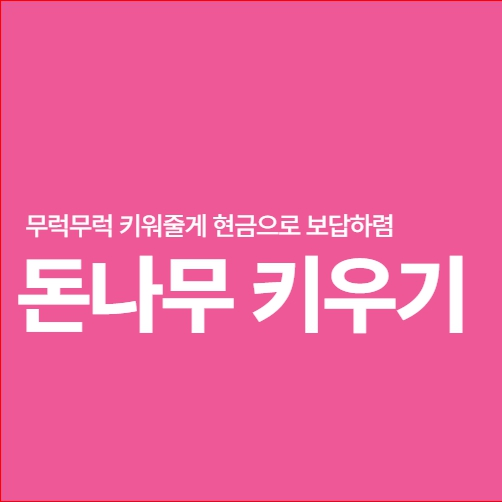 케이뱅크 돈나무 키우기 참여 방법 영양제 팔랑초