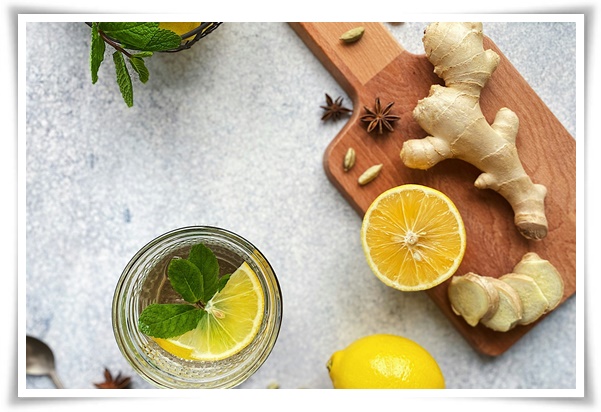 "생강 심기" 텃밭의 보물, 4월 ~ 5월 초 생강 심기로 건강과 맛을 동시에!