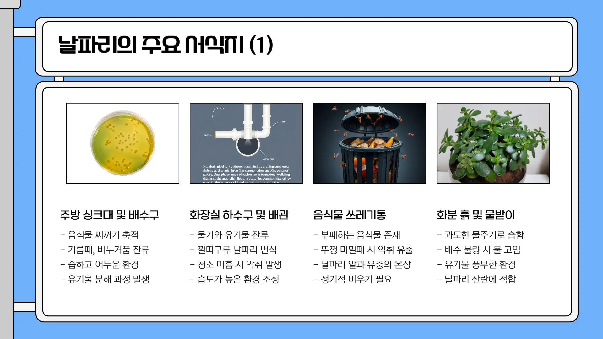 날파리 없애는 방법2