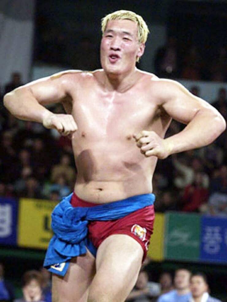 이종격투기선수-출신-방송인-최홍만