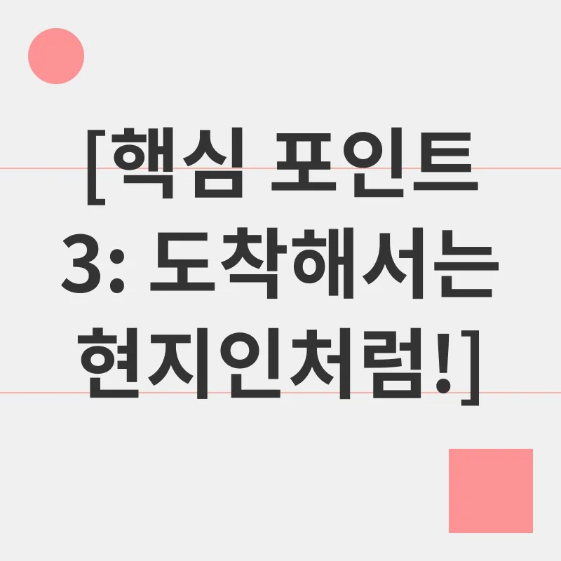 시차 적응_2_subsection
