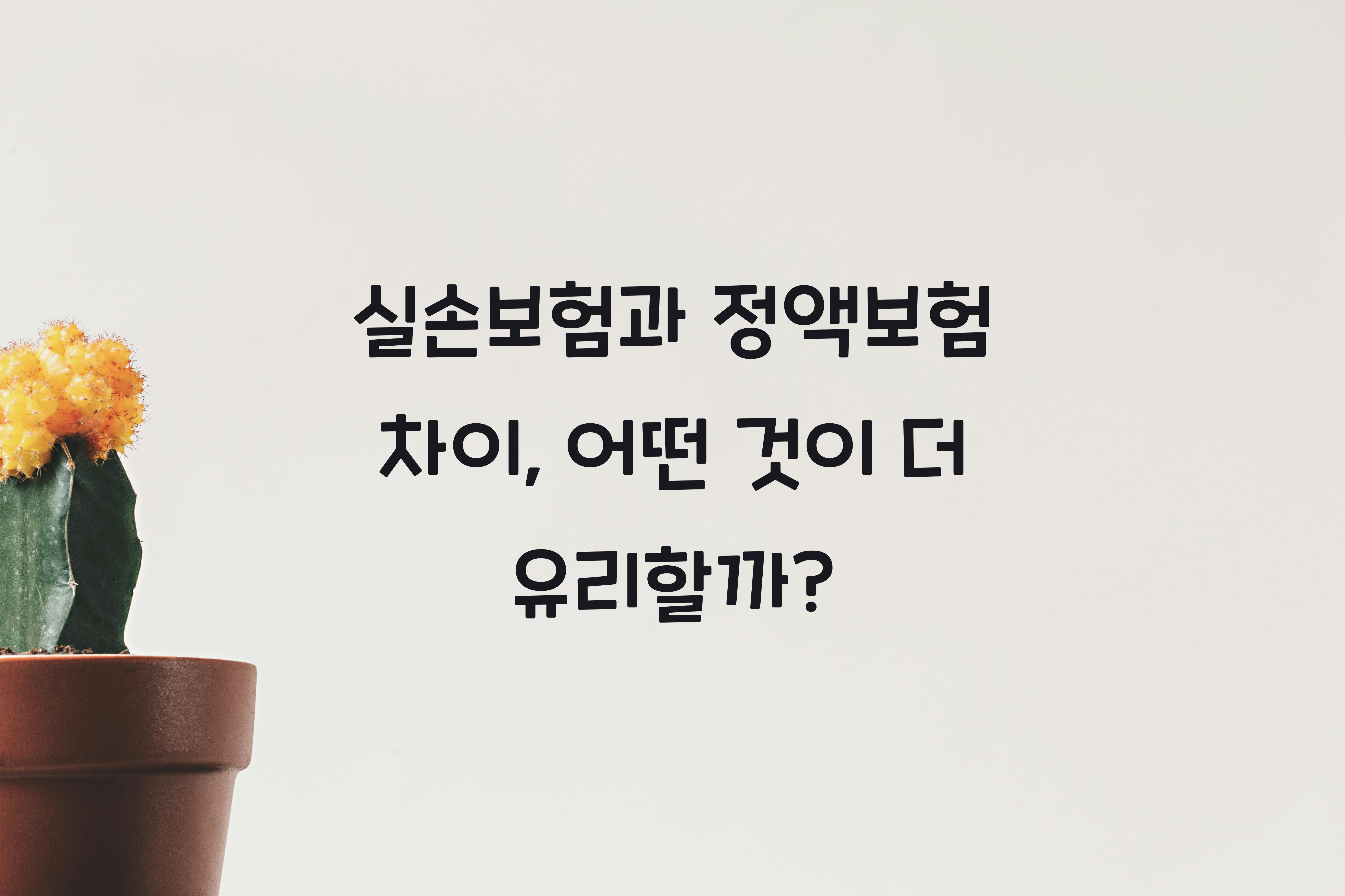 실손보험과 정액보험 차이