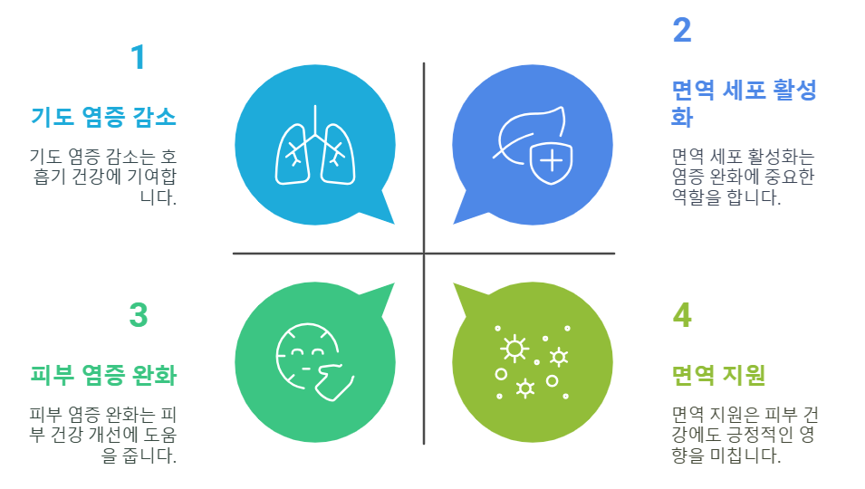 에키네시아 차 효능