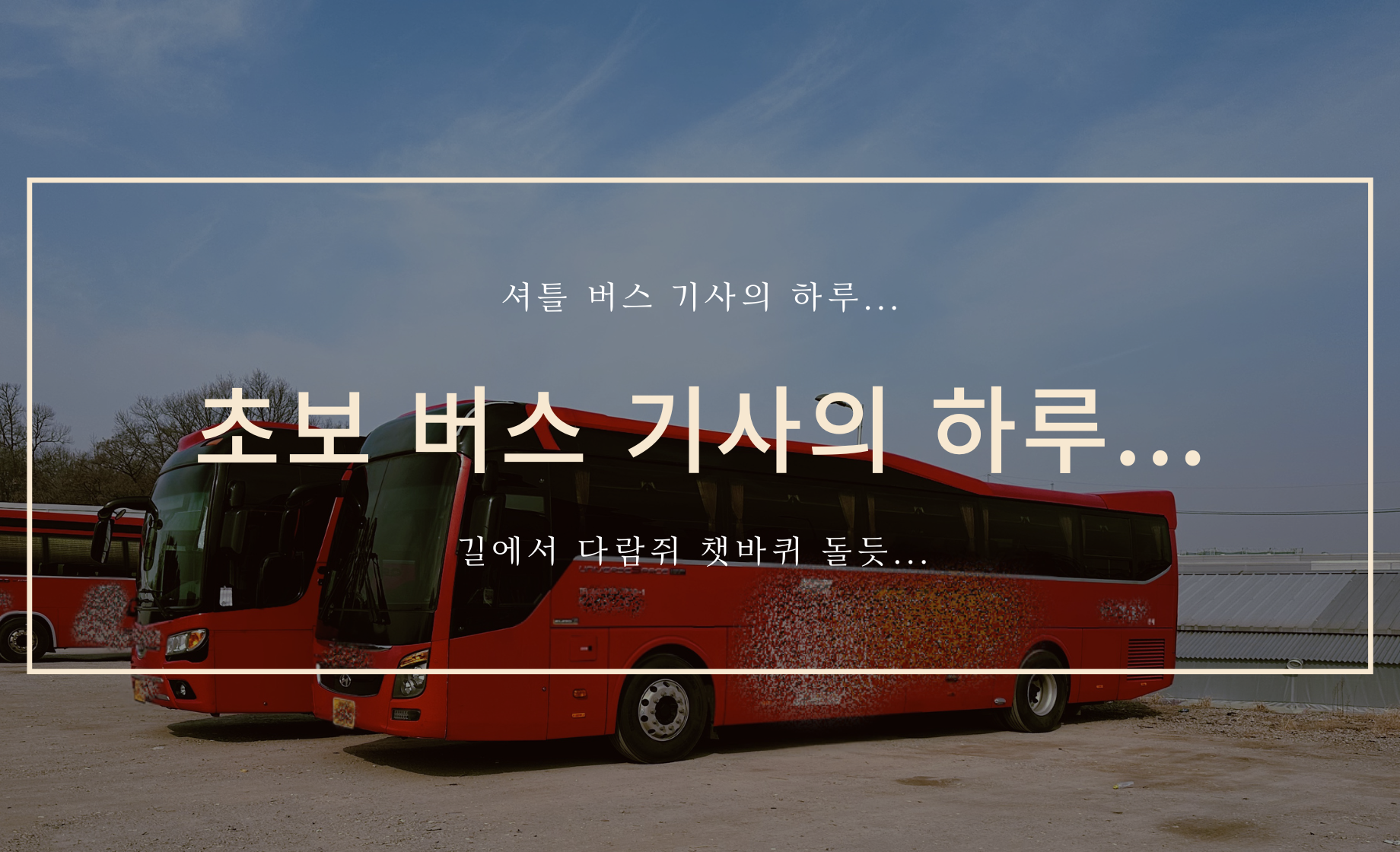 초보 버스 기사의 하루 커버