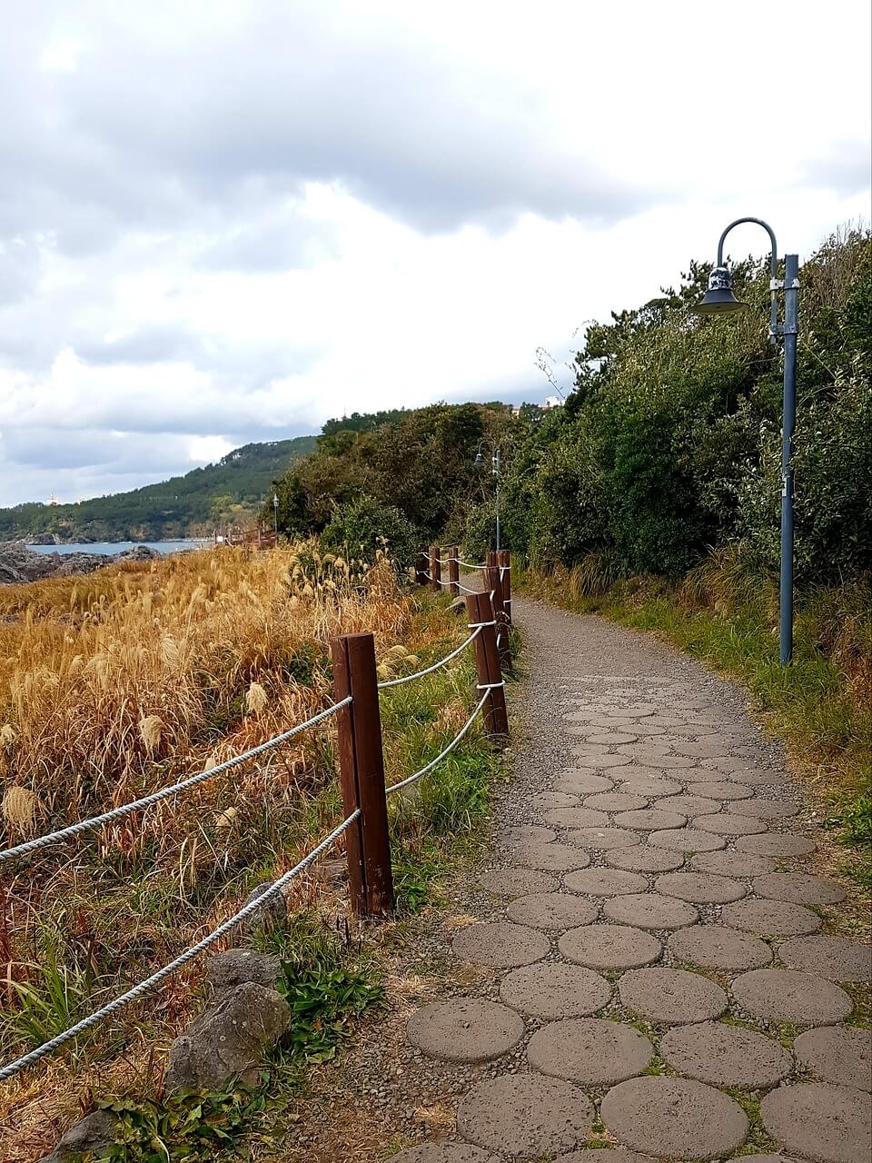 2025년 제주도 여행 지원 사업 - 『제주기점 뱃길관광 활성화』 뱃길이용 단체관광객 지원 신청 방법 및 신청 서류 안내