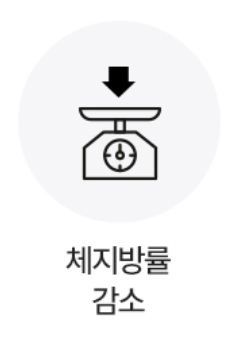 푸응 팻버닝 다이어트 효과