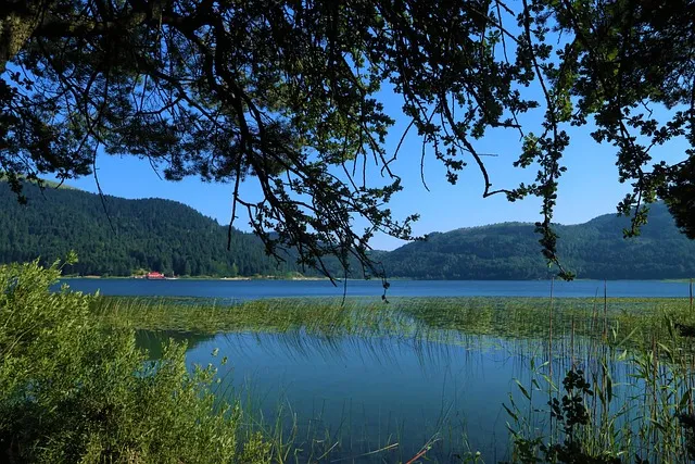 아반떼 차키 배터리 교체방법 규격 모델 번호_3