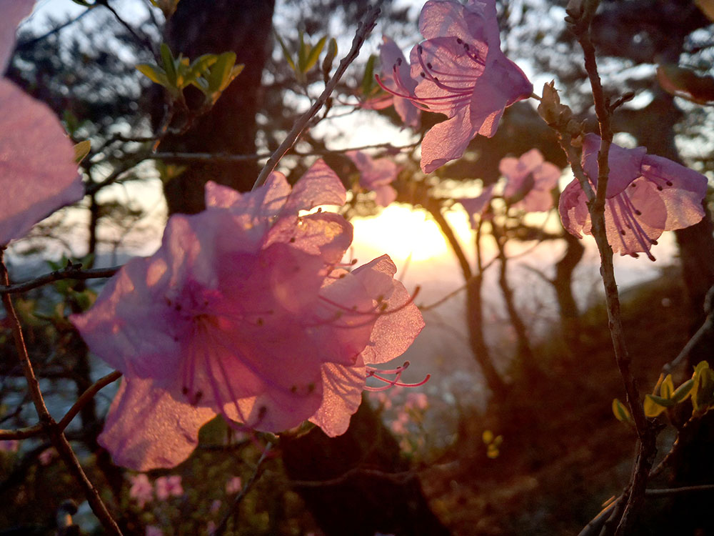 Emart24 4월 등산챌린지