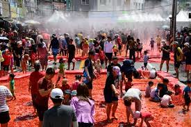 제13회 둔내고랭지 토마토 축제 기본일정과 프로그램 정리 홍진영 나태주 문희옥 영기 강설민 윤수현 박현빈 김완준 설하수 안지완 출연