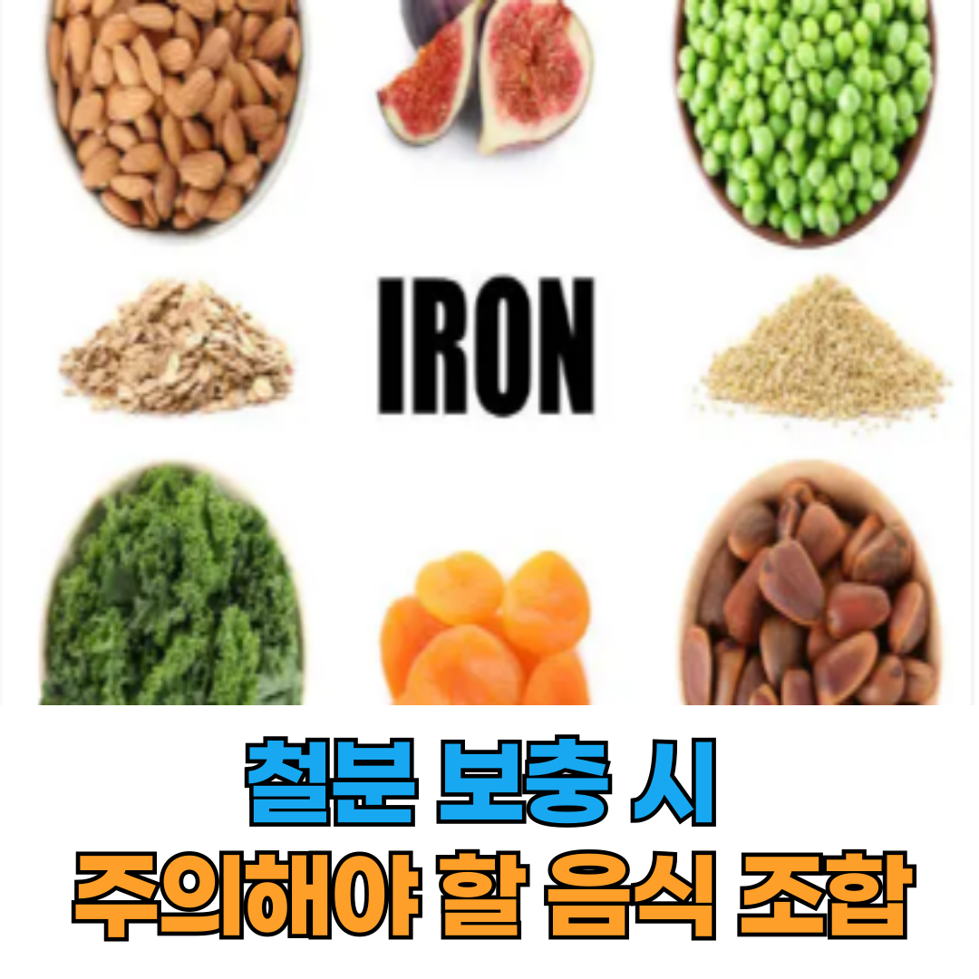🧠 철분 보충 시 주의해야 할 음식 조합
