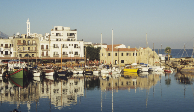 키프로스 감독과 영화의 특징 관련 사진