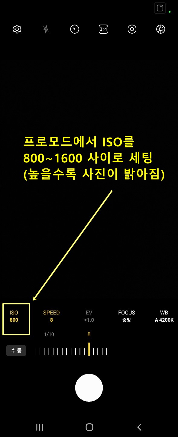 ISO설정으로 빛의 밝기를 조절합니다.