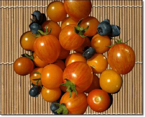 리코펜음식 토마토