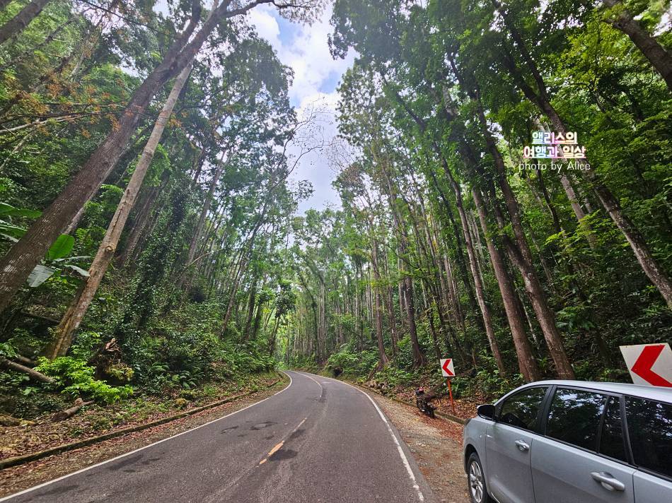 보홀 자유여행 가볼만한곳 여행코스 추천 말루안 비치, 히낙다단 동굴, 안경원숭이 보호구역 포함