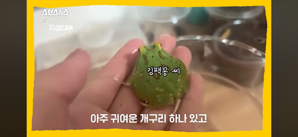 이지섭 중학생 파브르