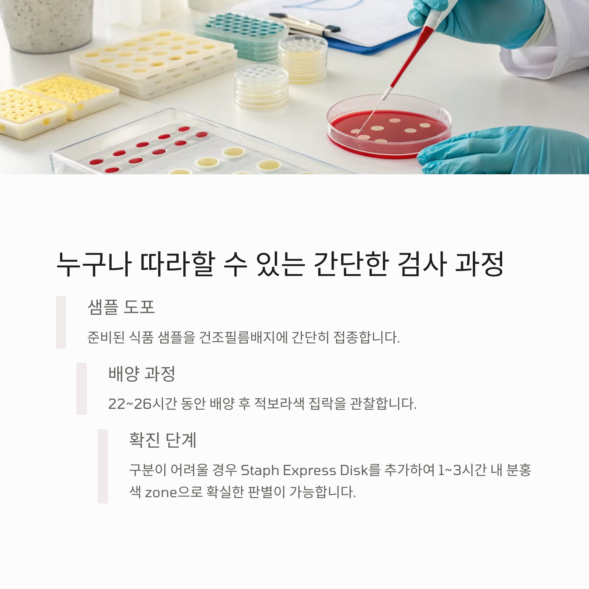 Staph Express Count Plate 검사 절차 요약: 도포부터 배양, 판독까지