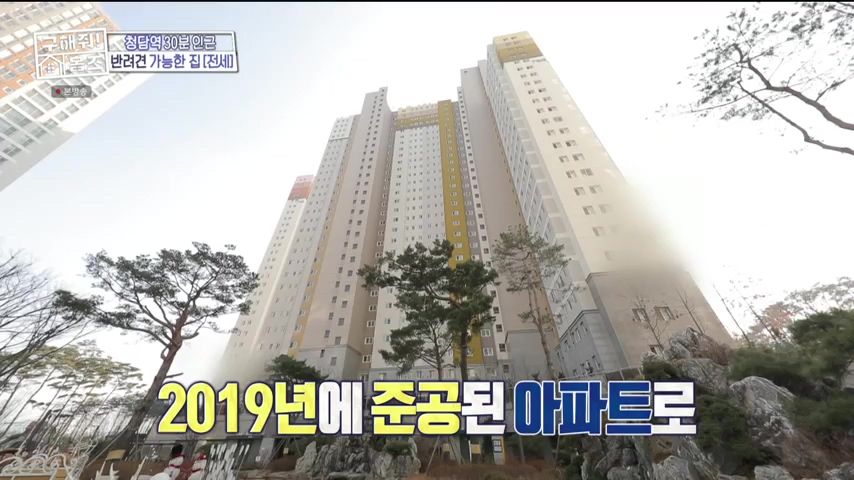 구해줘홈즈 1층집 바이브 동물병원 인접 남양주 다산동 전세 매매 매물 가격 및 구조 인테리어 리모델링 최종선택 강재준 양세찬 소개