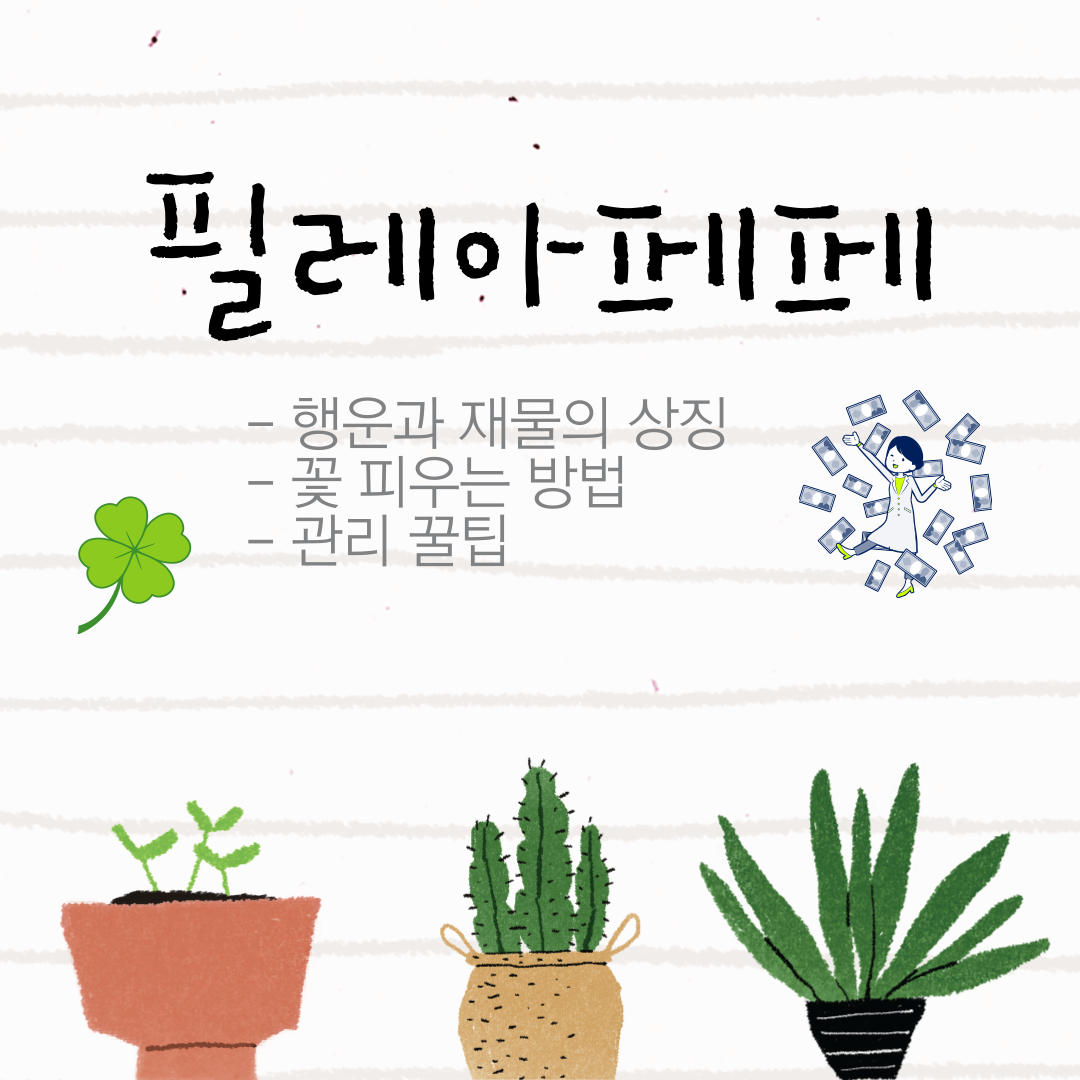 동글동글 잎이 귀여운 필레아페페 관리법,행운과 재물 상징